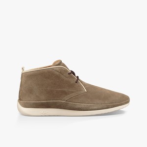 Ugg Cali Men Chukka Boots Brown (6425QEKVD)